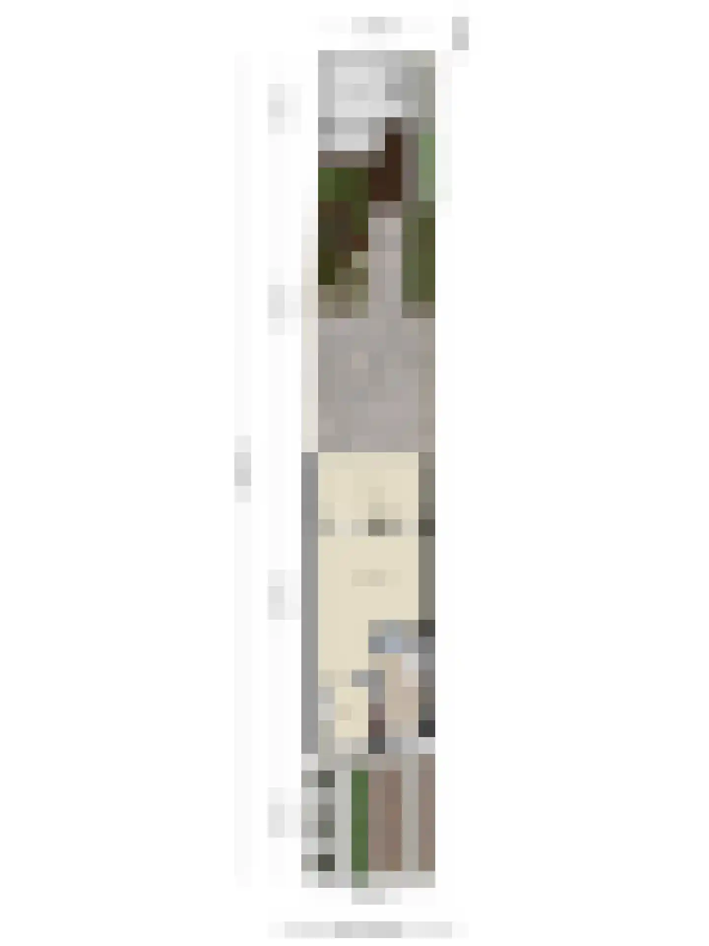 Vlietsingel 20 Leusden thumbnail 34