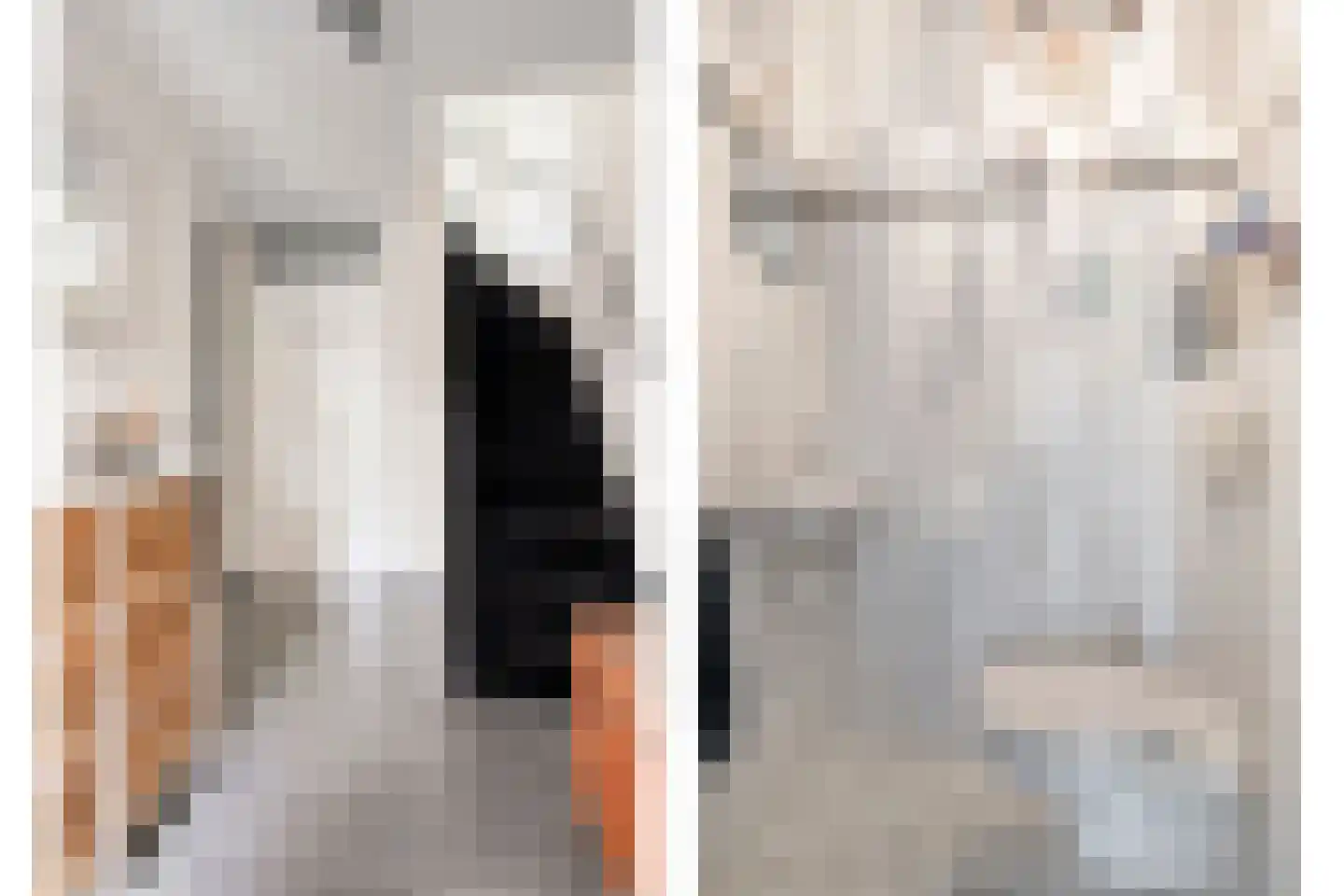 Vlietsingel 20 Leusden thumbnail 7
