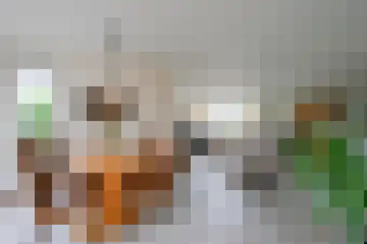 Vlietsingel 20 Medemblik thumbnail 11