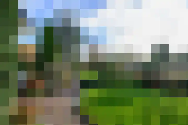 Vlietsingel 20 Medemblik thumbnail 5