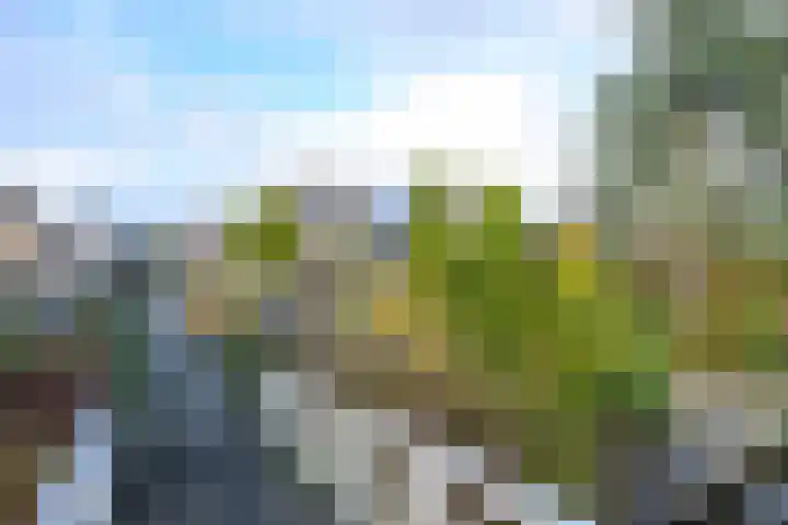 Vlietsingel 20 Medemblik thumbnail 62