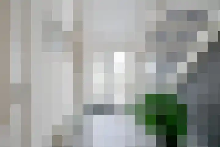 Vlietsingel 24 Medemblik thumbnail 23