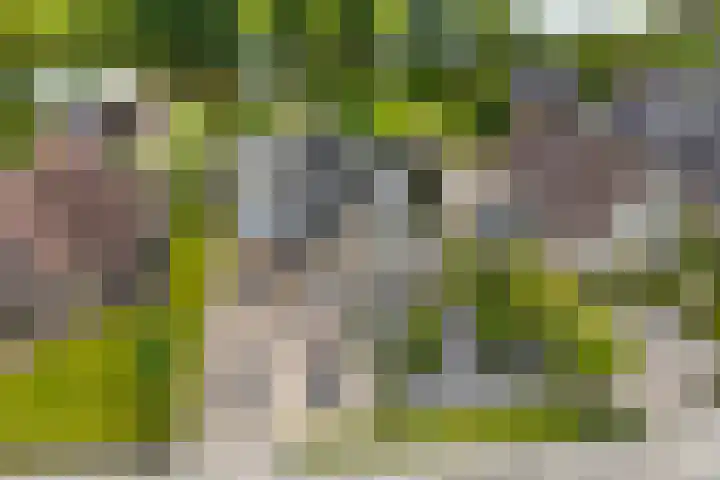 Vlietsingel 24 Medemblik thumbnail 35