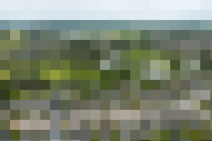 Vlietsingel 24 Medemblik thumbnail 37