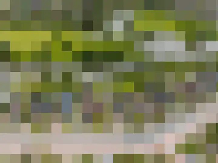 Vlietsingel 24 Medemblik thumbnail 38
