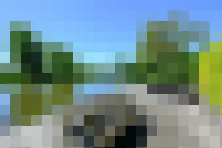 Vlietsingel 24 Medemblik thumbnail 4