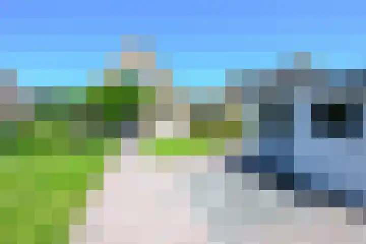 Vlietsingel 24 Medemblik thumbnail 44
