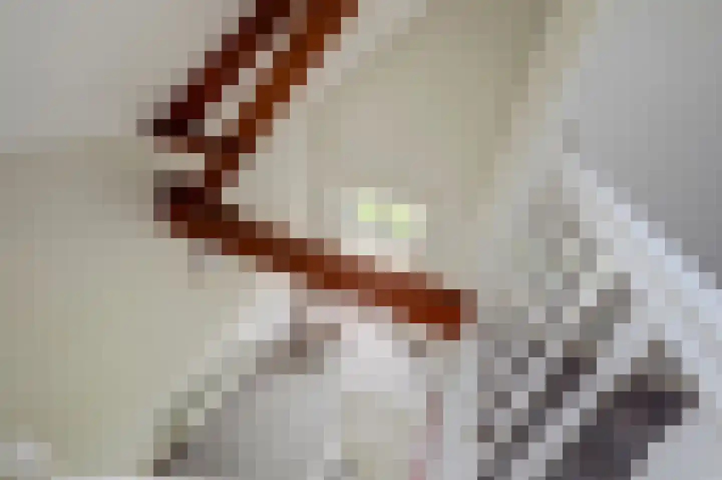 Vlietskade 1101 Arkel thumbnail 17