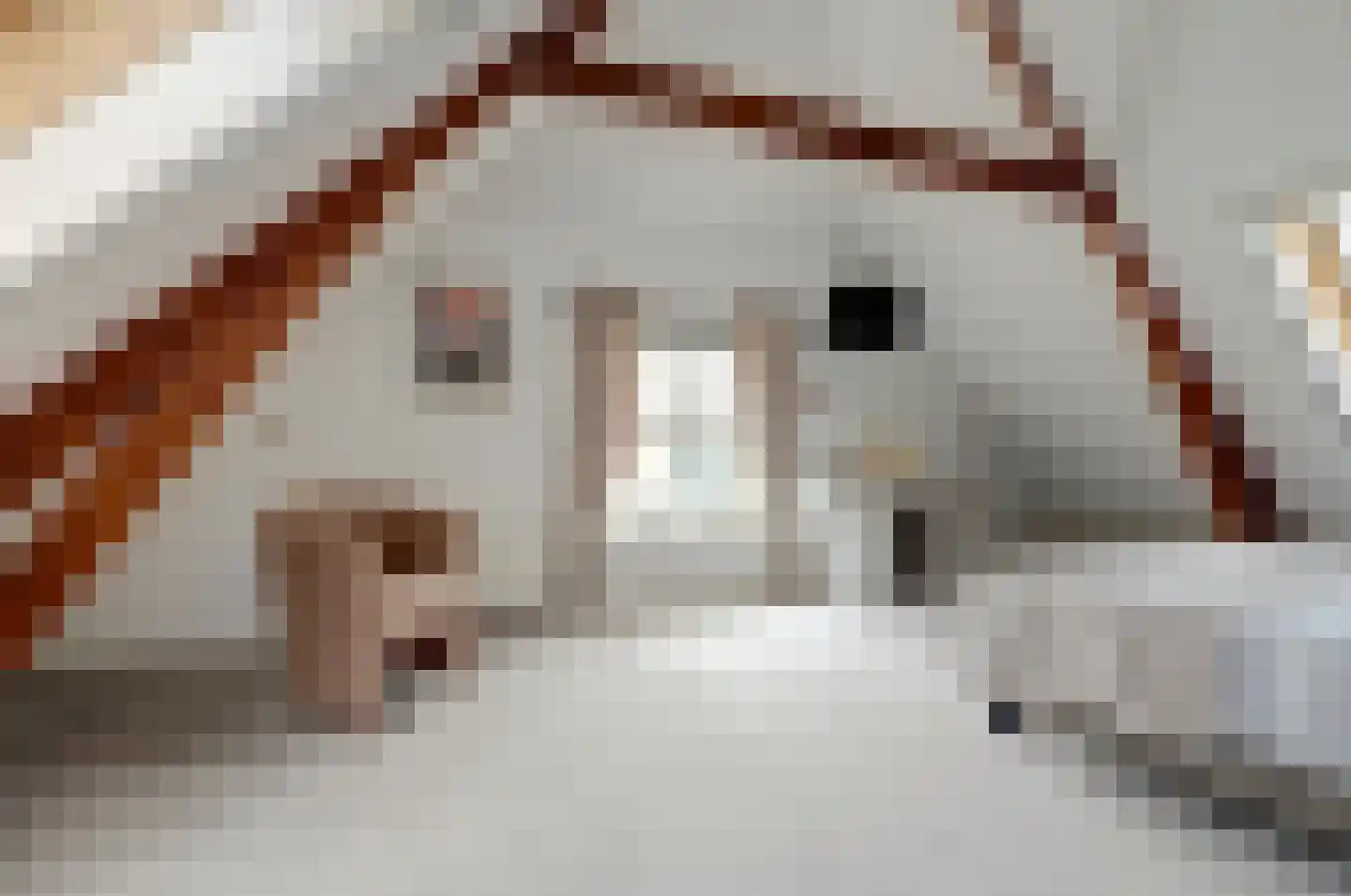 Vlietskade 1101 Arkel thumbnail 24