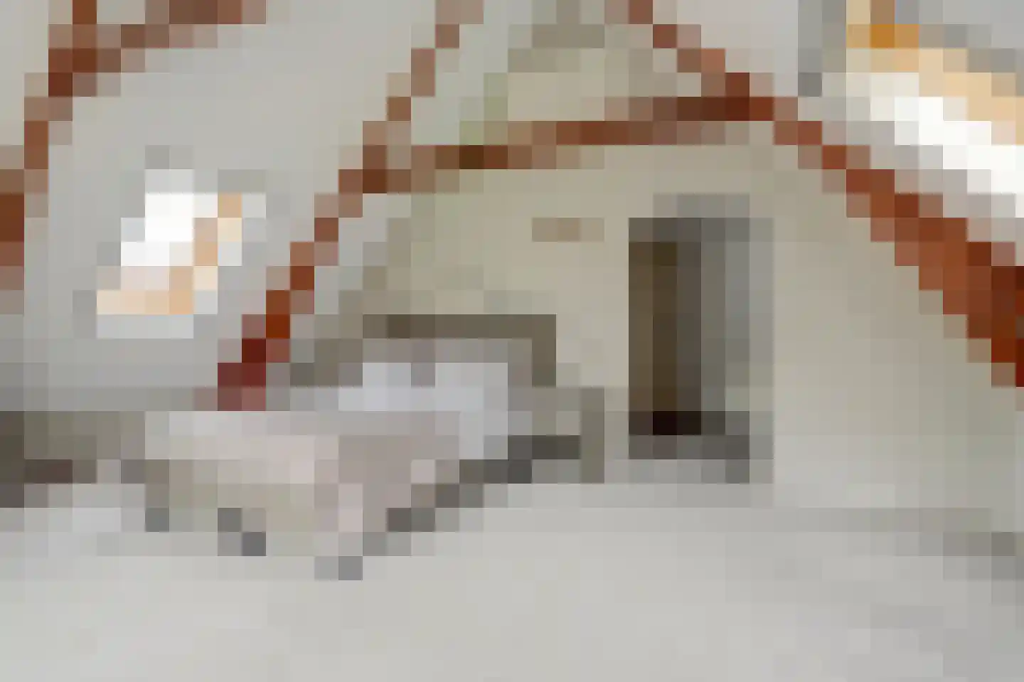 Vlietskade 1101 Arkel thumbnail 29