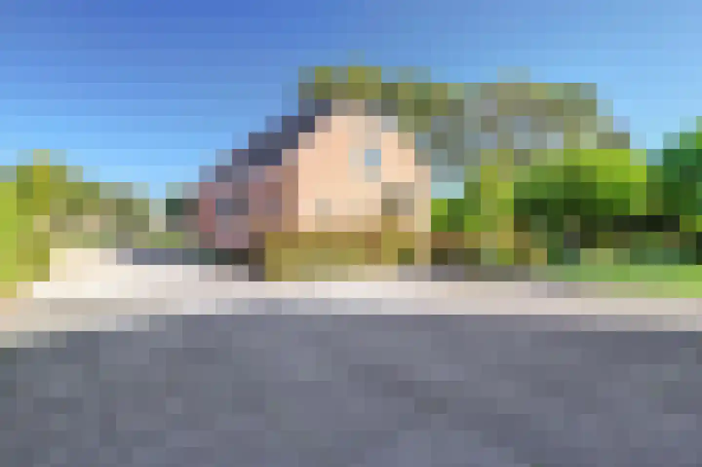 Vlietskade 1101 Arkel thumbnail 30
