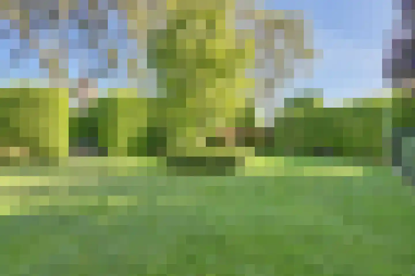 Vlietskade 1101 Arkel thumbnail 36