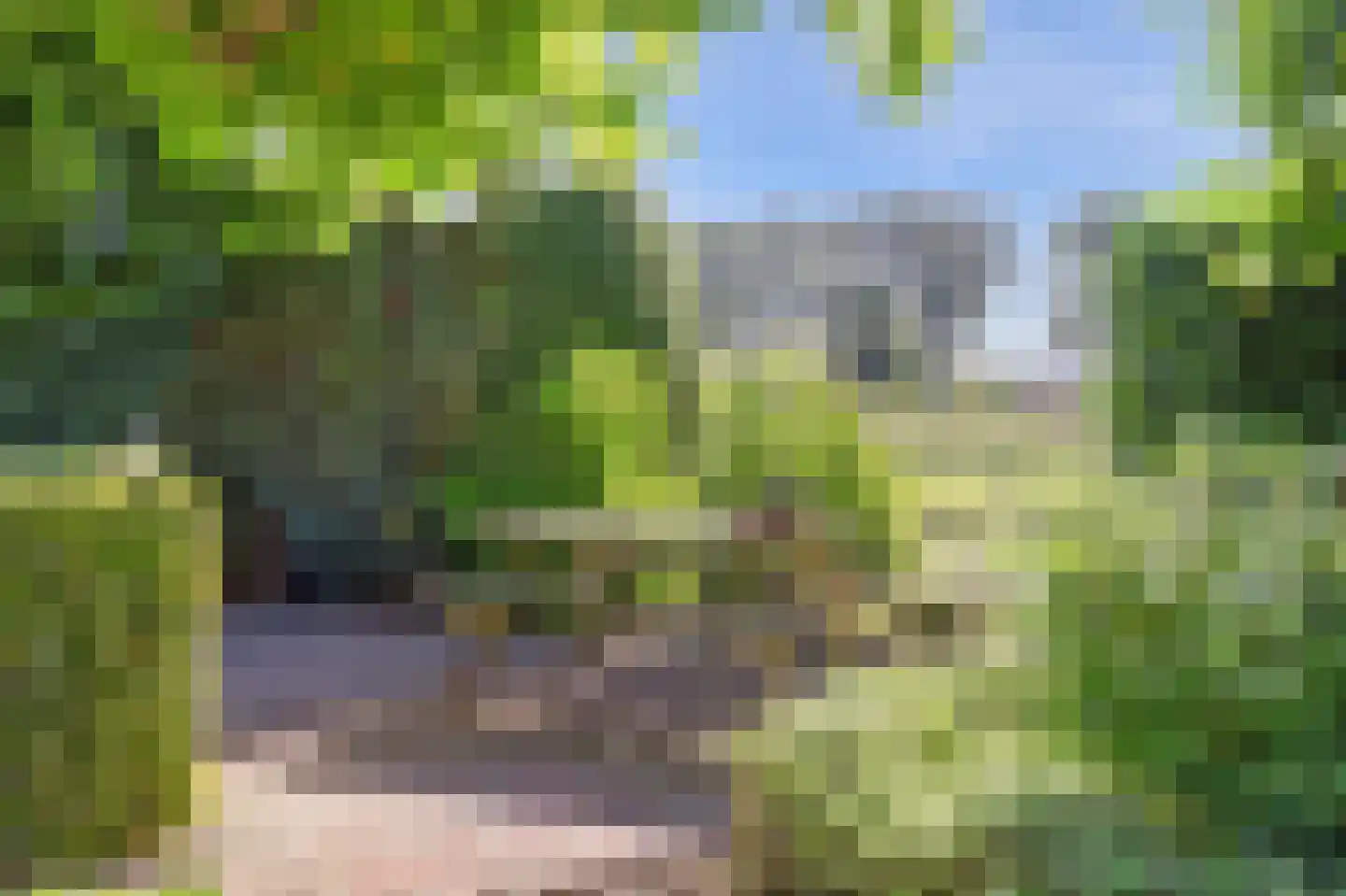 Vlietskade 1101 Arkel thumbnail 37