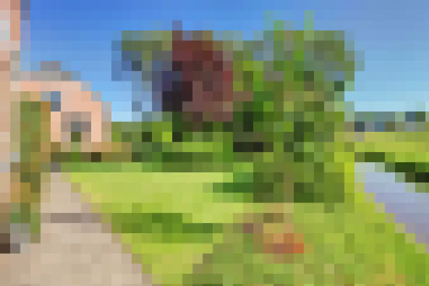 Vlietskade 1101 Arkel thumbnail 41