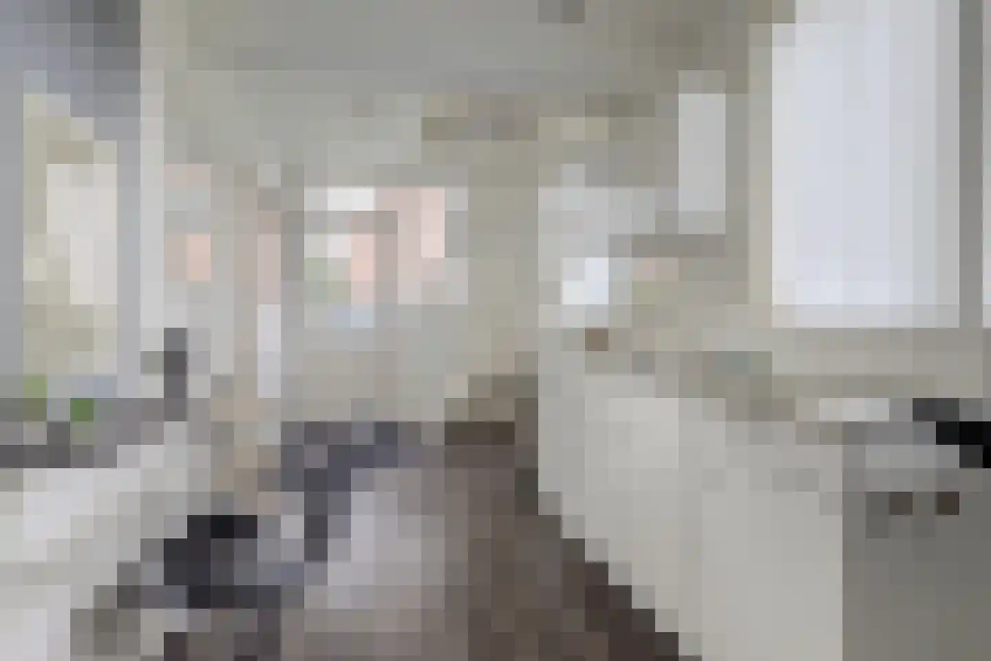 Vlietskade 1101 Arkel thumbnail 45