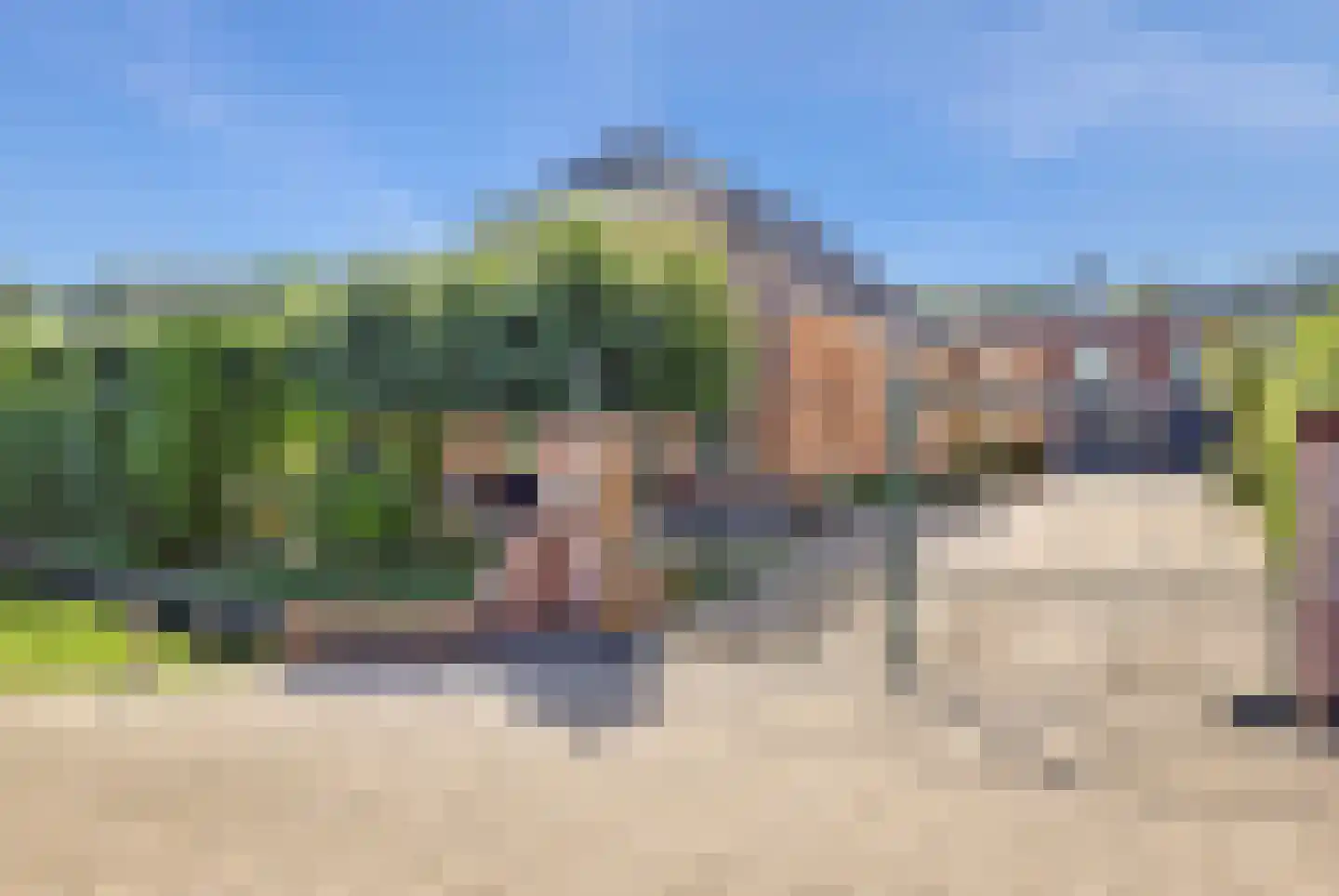 Vlietskade 1101 Arkel thumbnail 55
