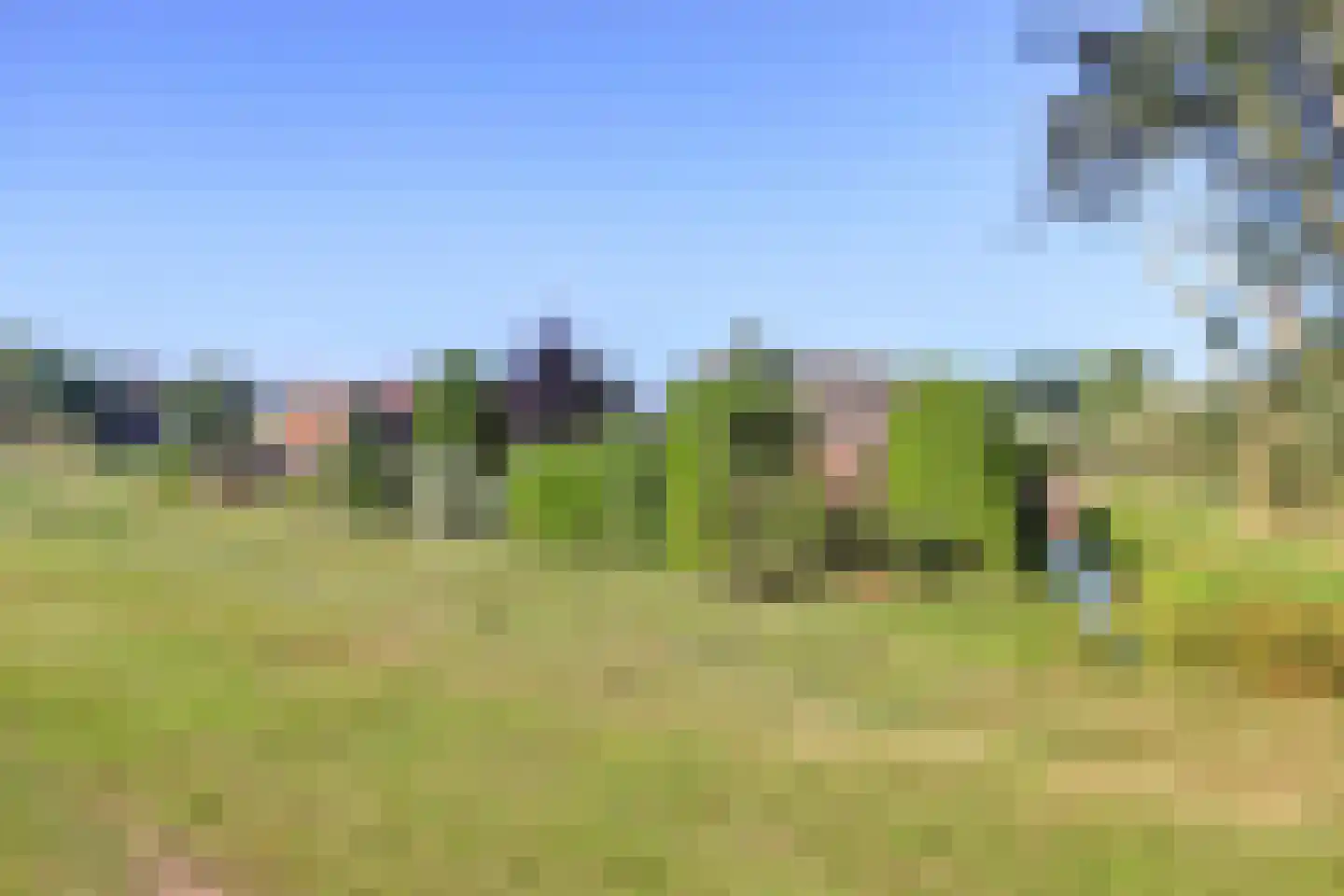 Vlietskade 1101 Arkel thumbnail 62