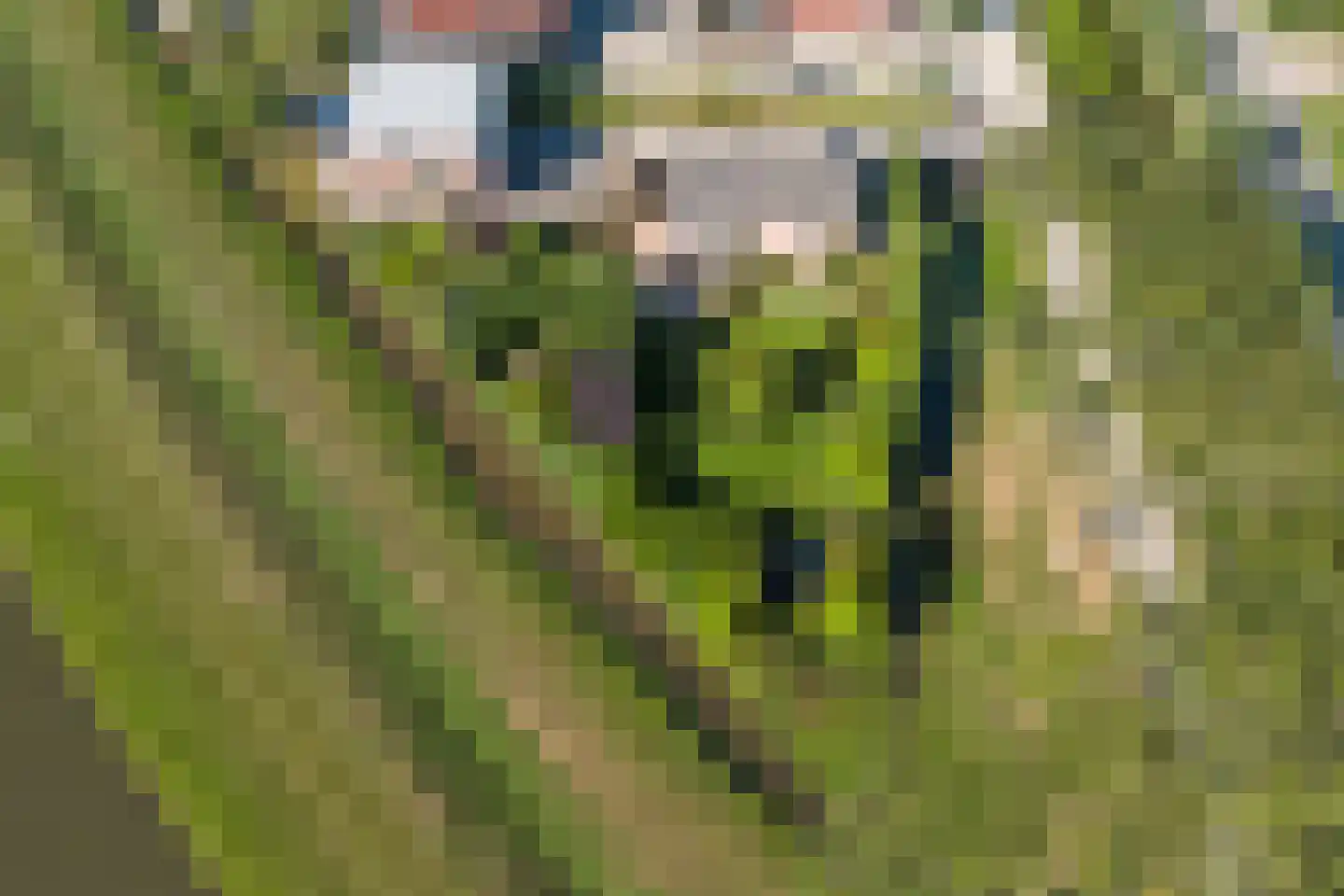Vlietskade 1101 Arkel thumbnail 64