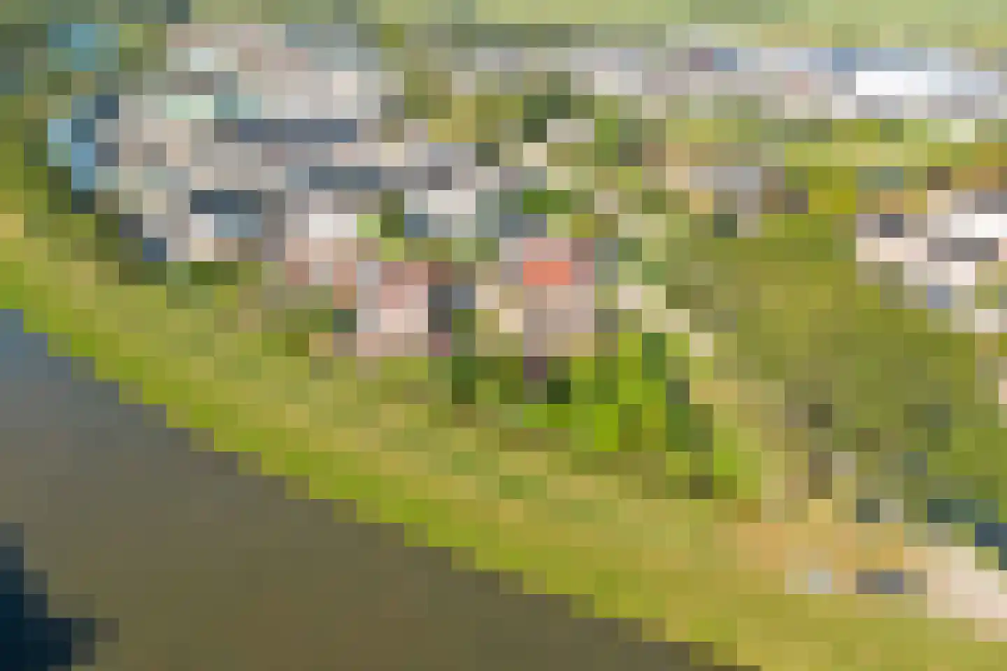 Vlietskade 1101 Arkel thumbnail 68