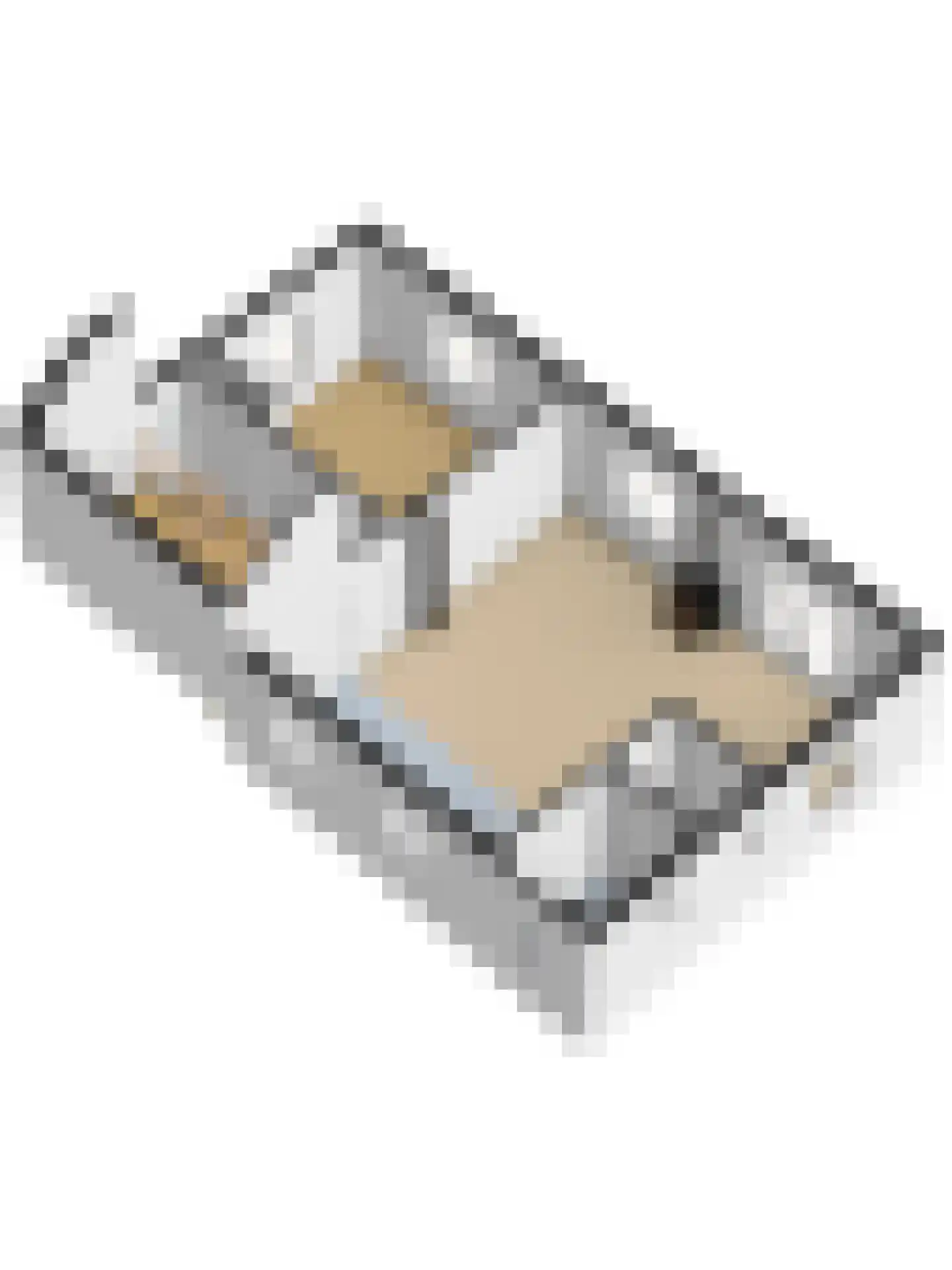 Vlietskade 1101 Arkel thumbnail 70