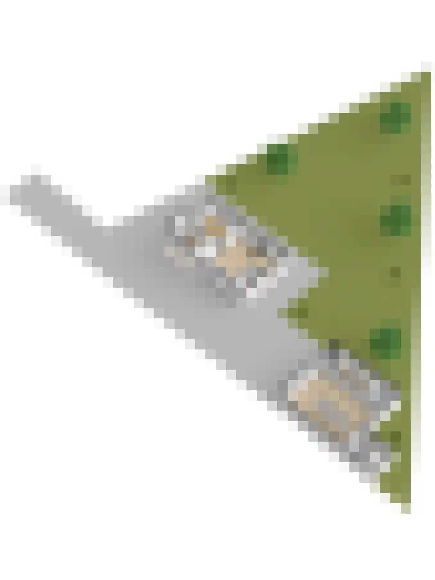Vlietskade 1101 Arkel thumbnail 82
