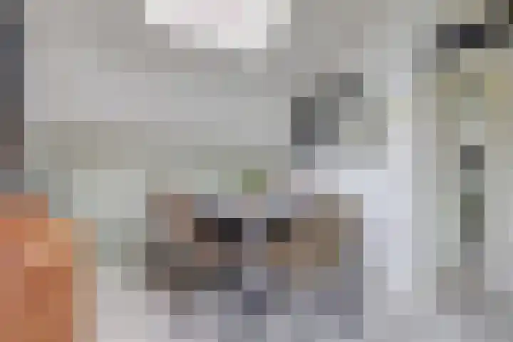 Vlietskant 28 a Leerdam thumbnail 9