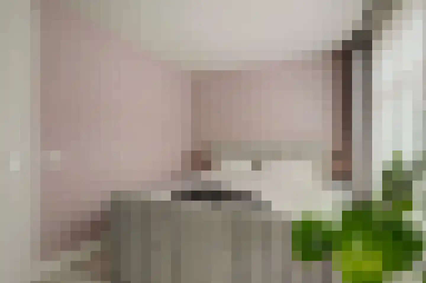 Vlietskant 28 Leerdam thumbnail 21