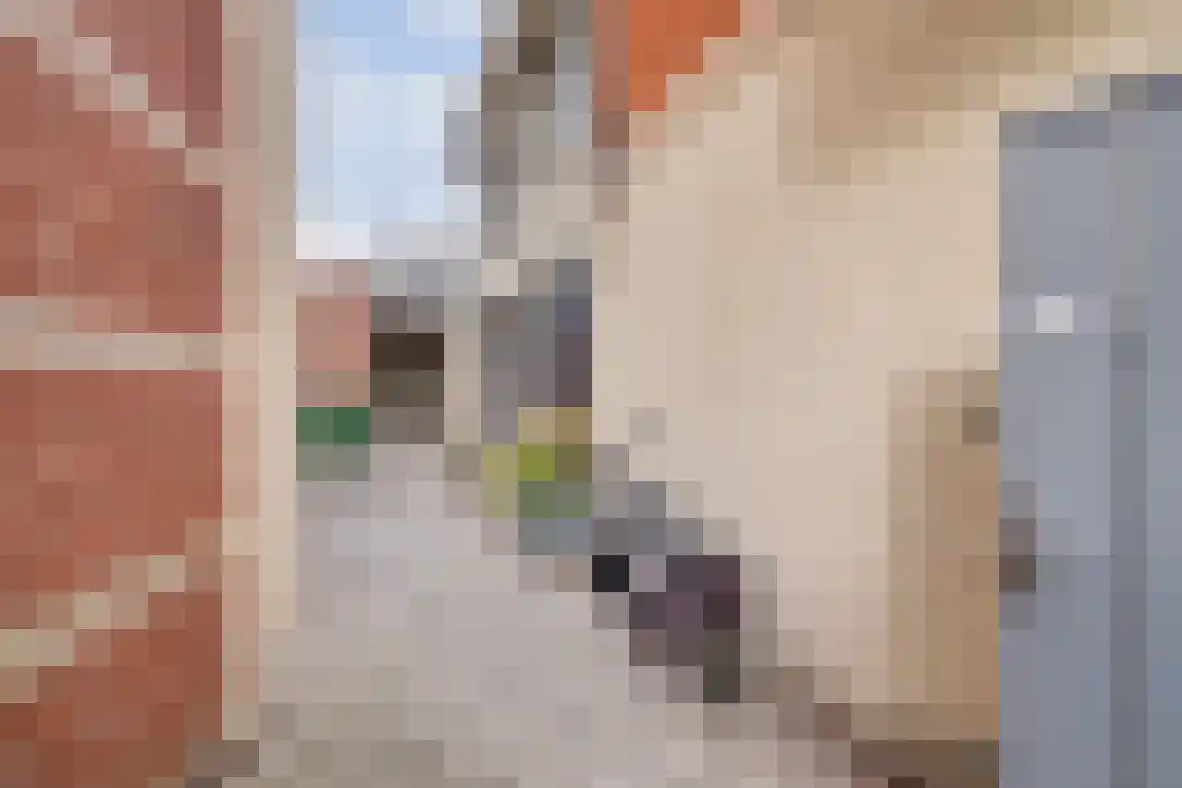 Vlietskant 41 b Leerdam thumbnail 32