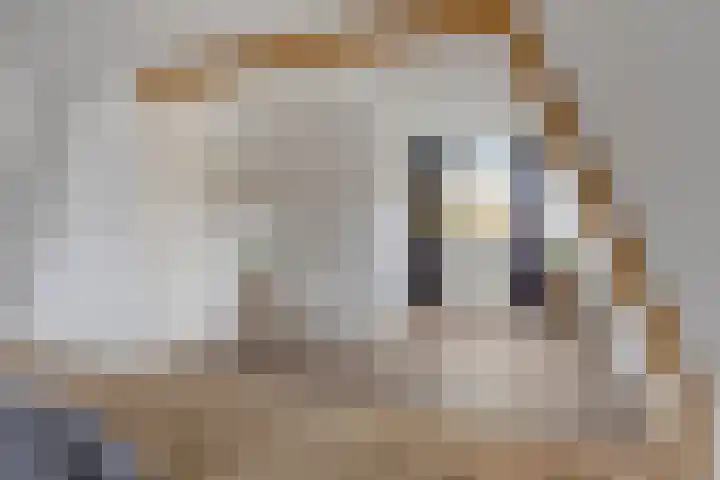 Vlietstraat 1 Purmerend thumbnail 24