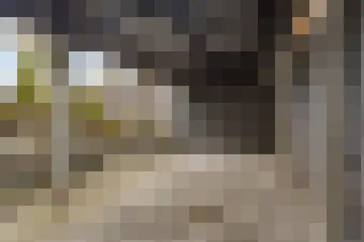 Vlietstraat 1 Purmerend thumbnail 33