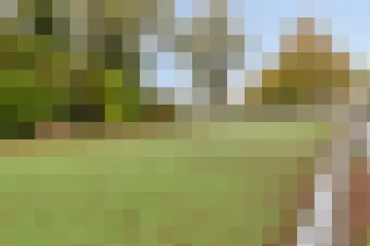 Vlietstraat 1 Purmerend thumbnail 37