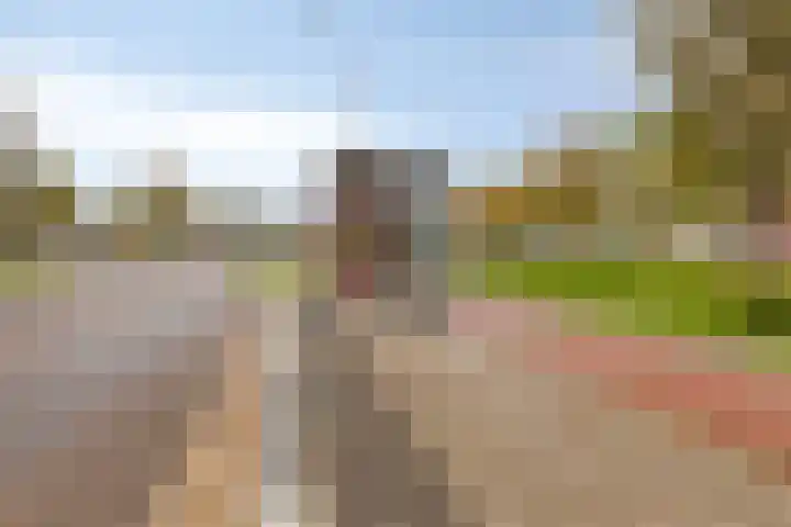 Vlietstraat 1 Purmerend thumbnail 38