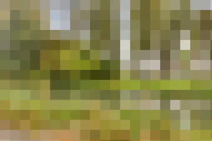 Vlietstraat 1 Purmerend thumbnail 39