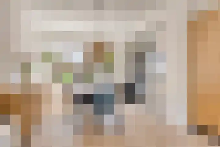 Vlietstraat 10 Purmerend thumbnail 13