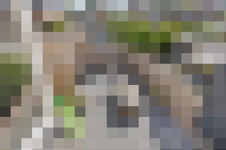 Vlietstraat 10 Purmerend thumbnail 26