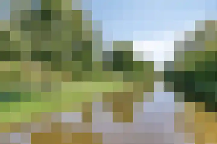 Vlietstraat 10 Purmerend thumbnail 29