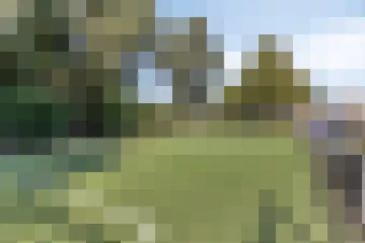 Vlietstraat 10 Purmerend thumbnail 30