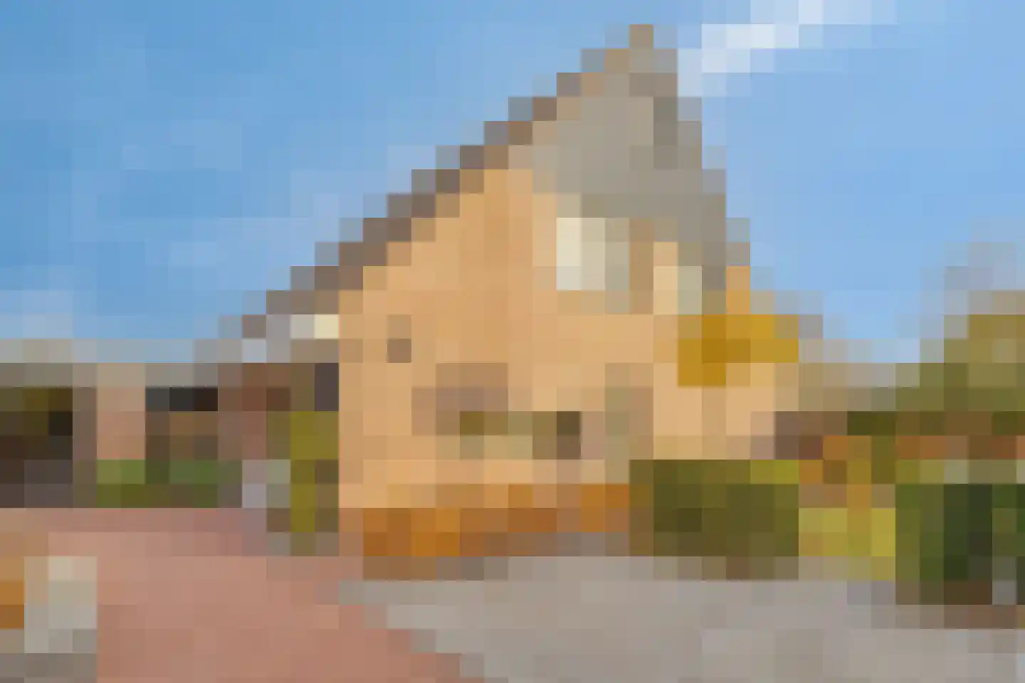 Vlietstraat 11 Terneuzen