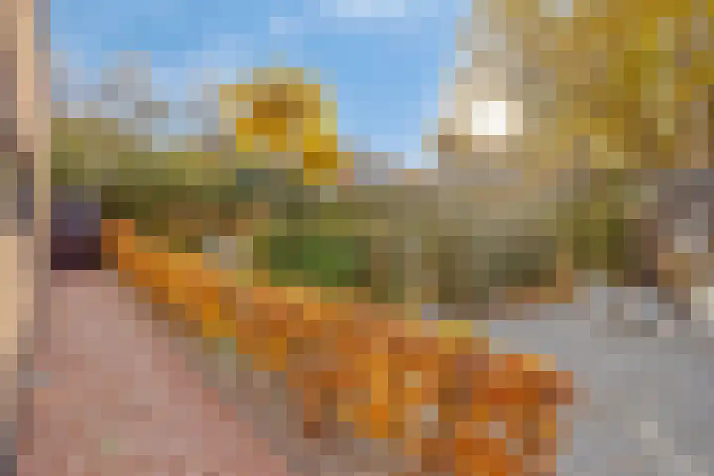 Vlietstraat 11 Terneuzen thumbnail 34
