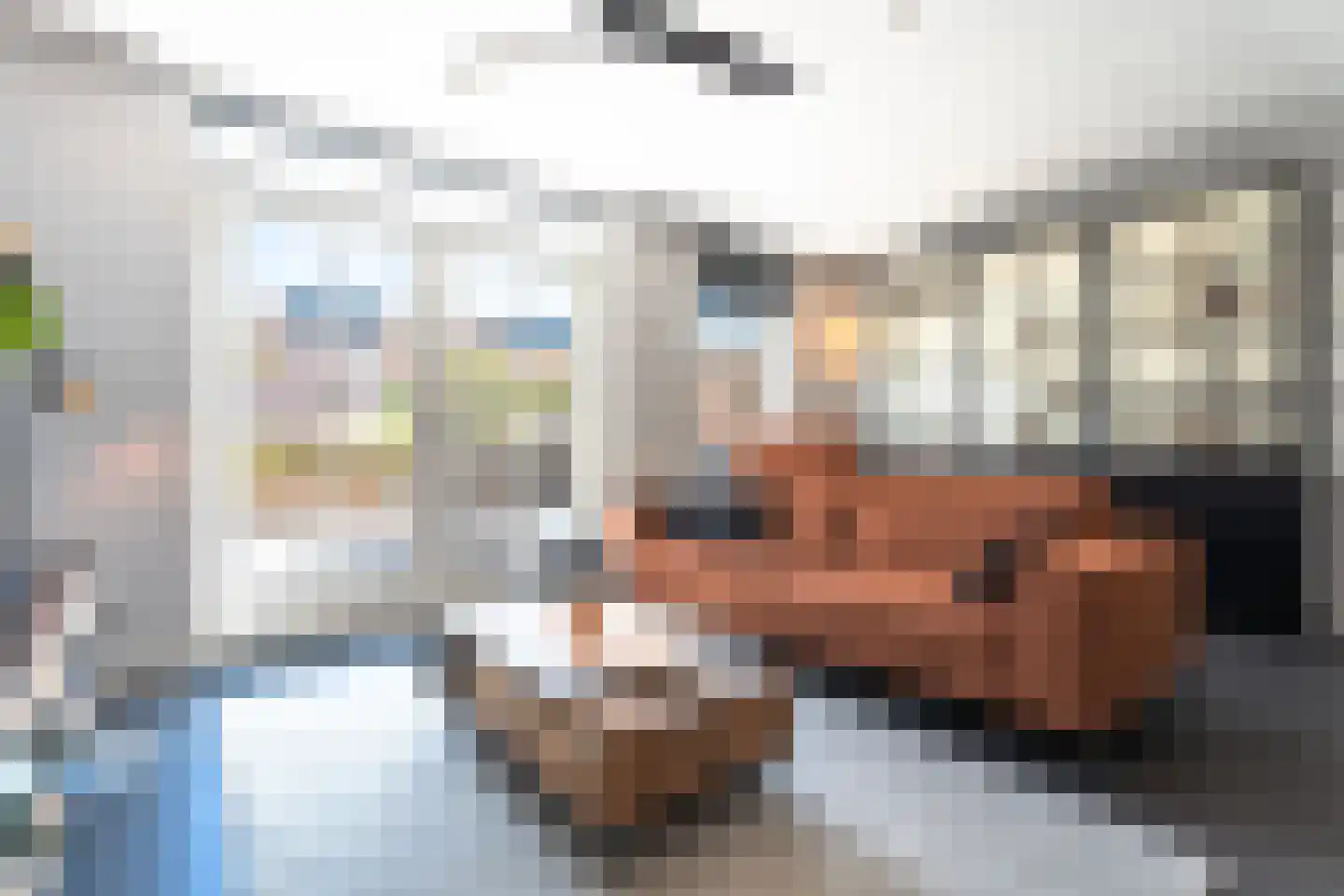 Vlietstraat 12 Spijkenisse thumbnail 19