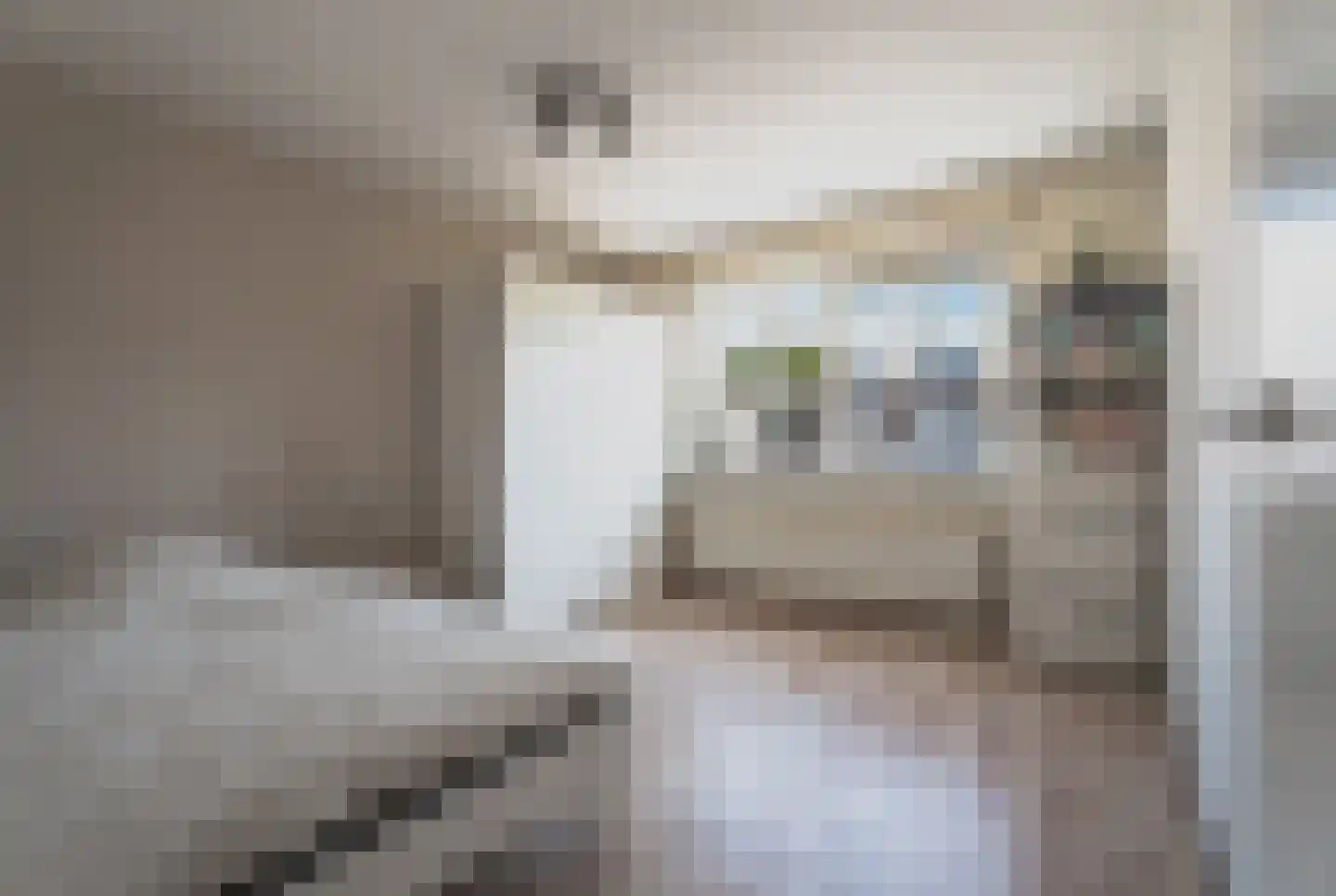 Vlietstraat 12 Spijkenisse thumbnail 35