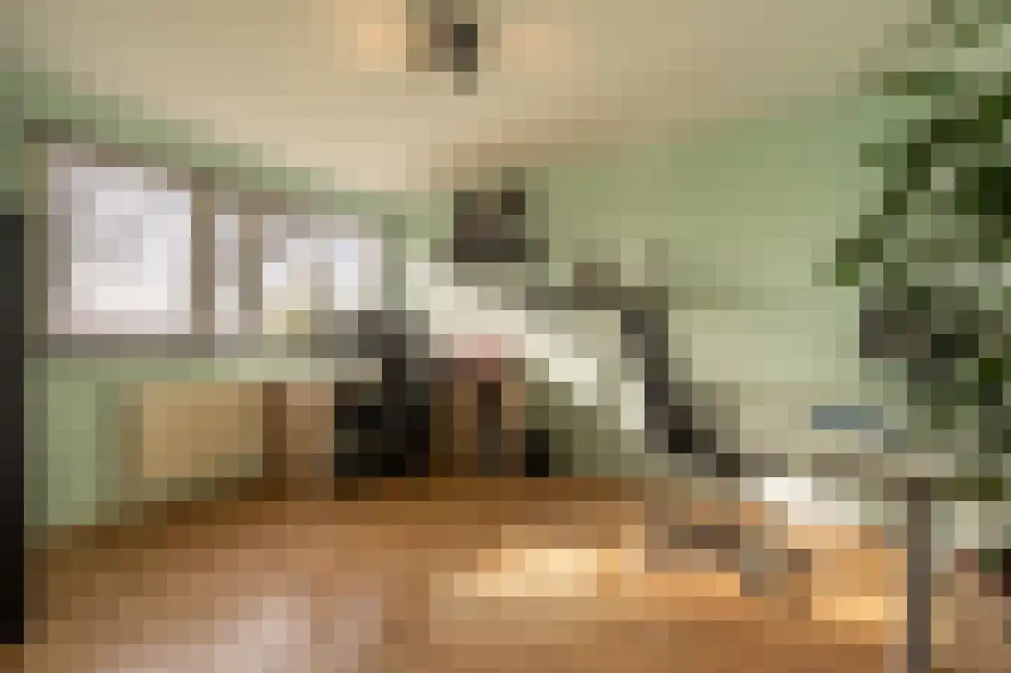 Vlietstraat 14 's-Gravendeel thumbnail 14