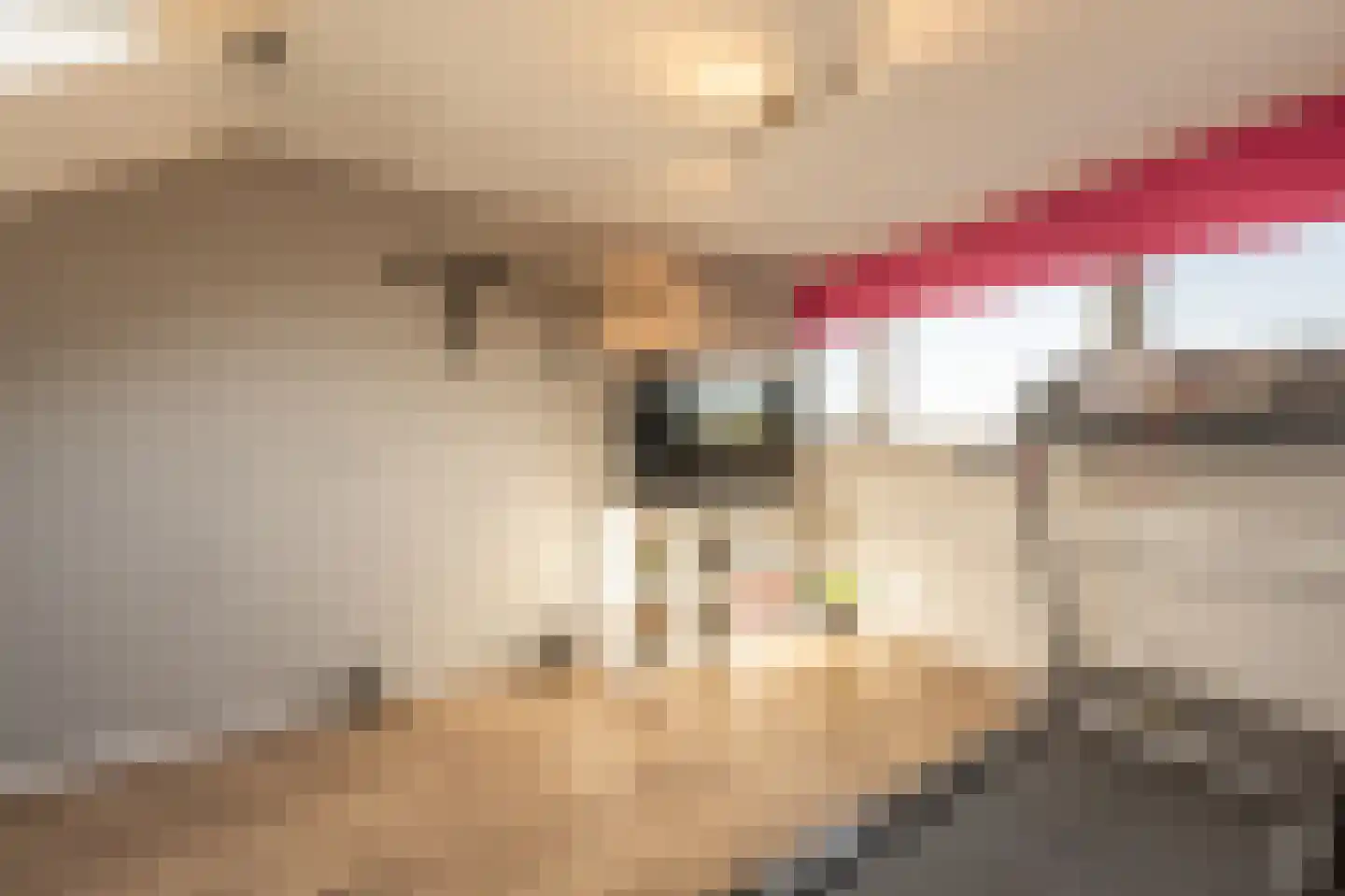 Vlietstraat 14 's-Gravendeel thumbnail 18