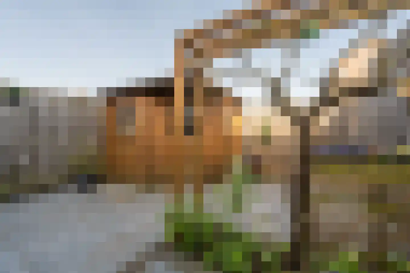 Vlietstraat 14 's-Gravendeel thumbnail 23