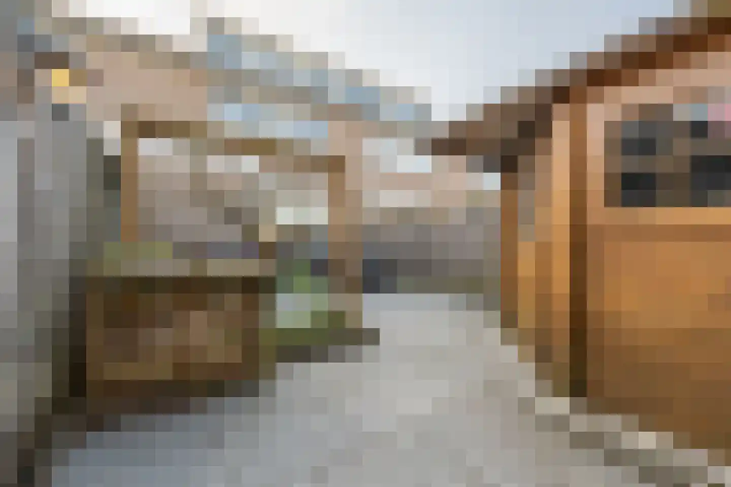Vlietstraat 14 's-Gravendeel thumbnail 24