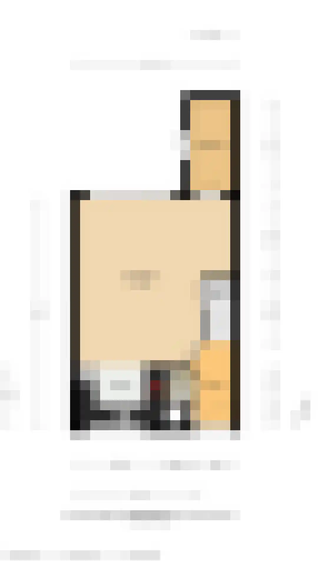 Vlietstraat 14 's-Gravendeel thumbnail 26