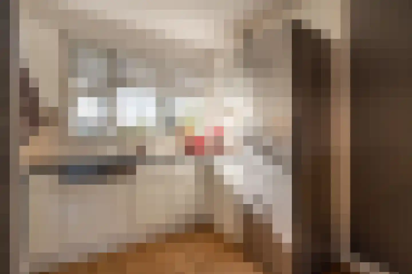 Vlietstraat 14 's-Gravendeel thumbnail 8