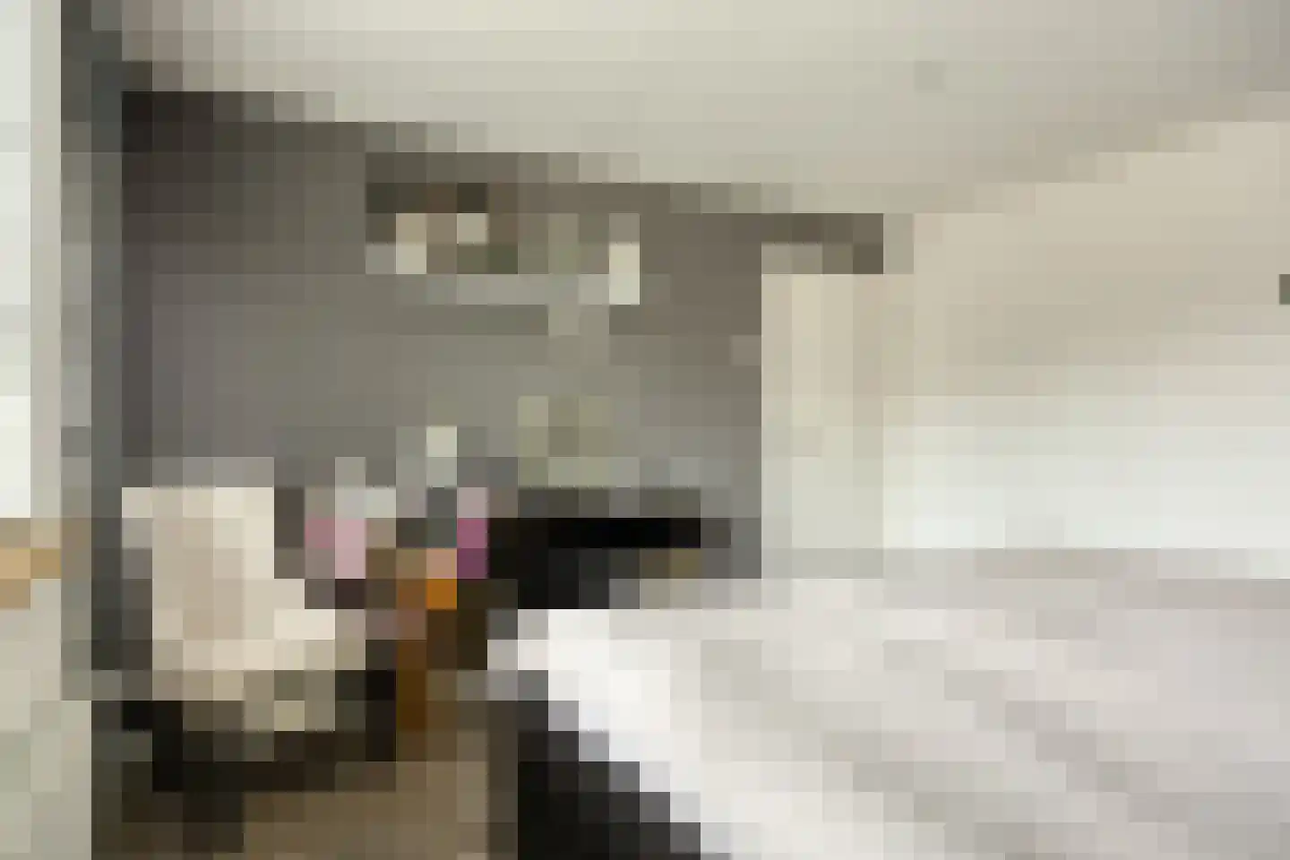 Vlietstraat 14 Terheijden thumbnail 17