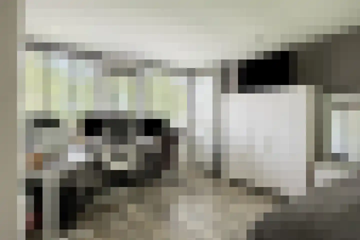 Vlietstraat 14 Terheijden thumbnail 22