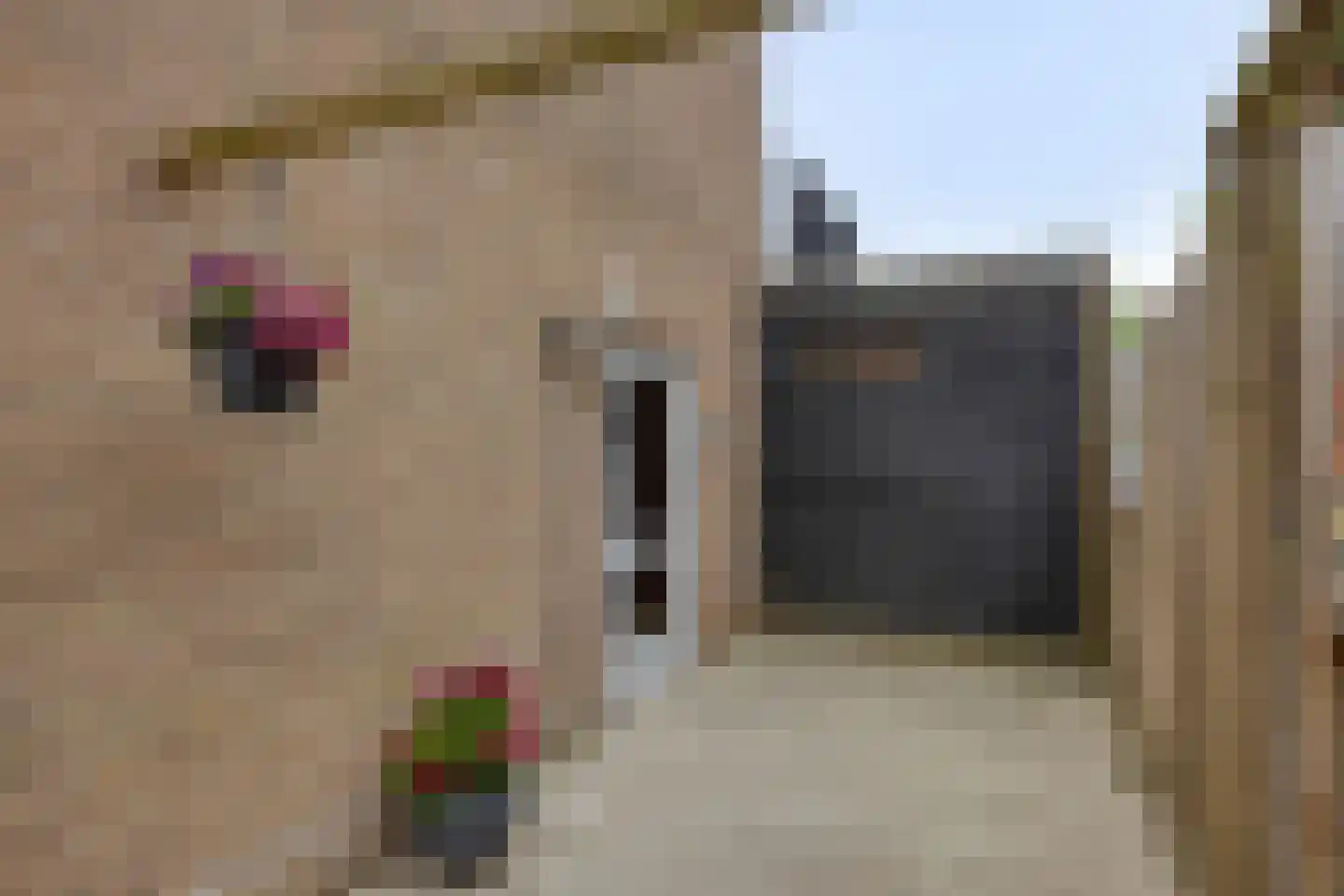 Vlietstraat 14 Terheijden thumbnail 35